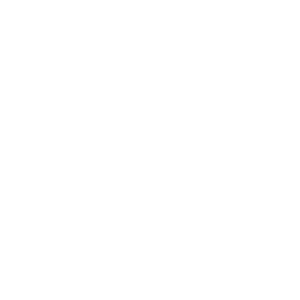 Systems Planning and Analysis, Inc. (SPA) logo