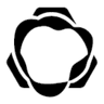 Evasive Robotics logo