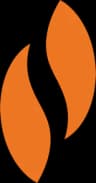 Stereotaxis logo